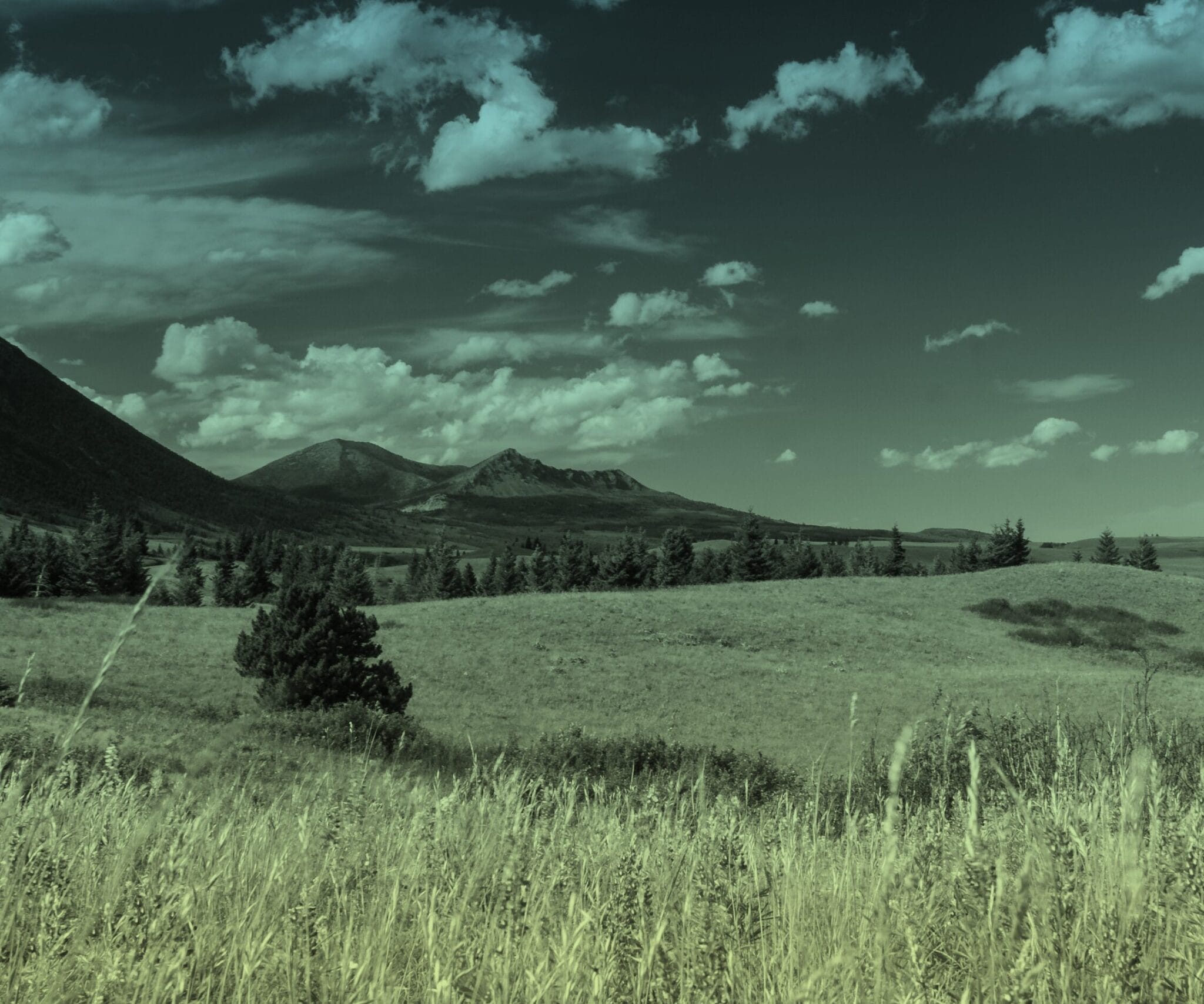 A landscape of Alberta prairies with mountains in the distance.