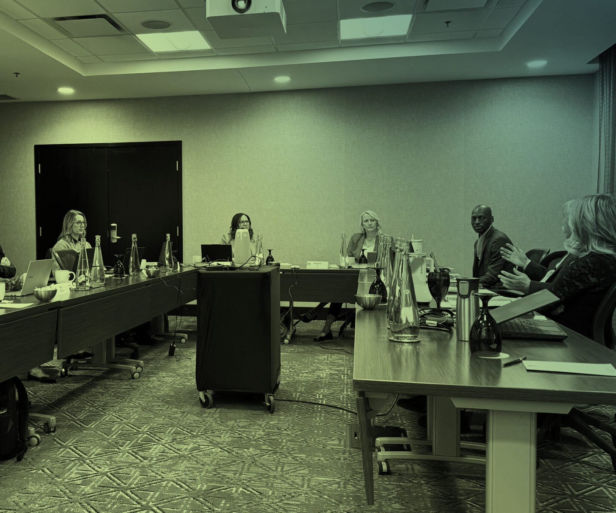 The College’s Council, participating in discussion.